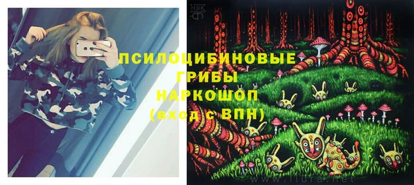 стаф Лабытнанги