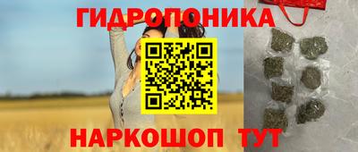 прущие крисы Ипатово