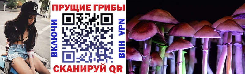 Галлюциногенные грибы Psilocybine cubensis  кракен   Дятьково  купить  цена 