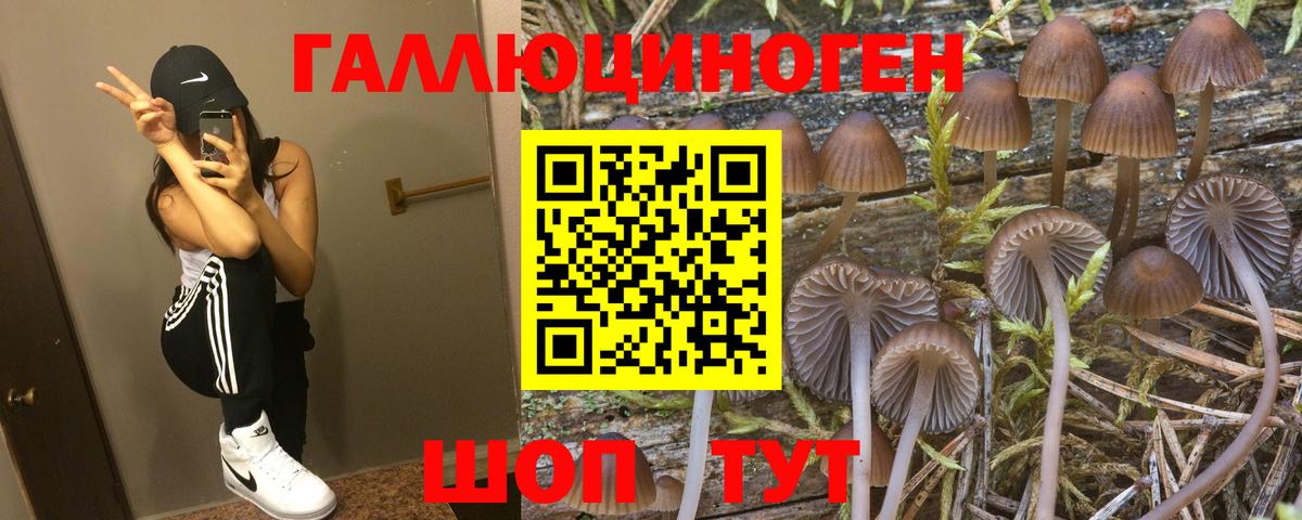 Псилоцибиновые грибы Cubensis  Вход с VPN  Дятьково  Галлюциногенные грибы Psilocybe 
